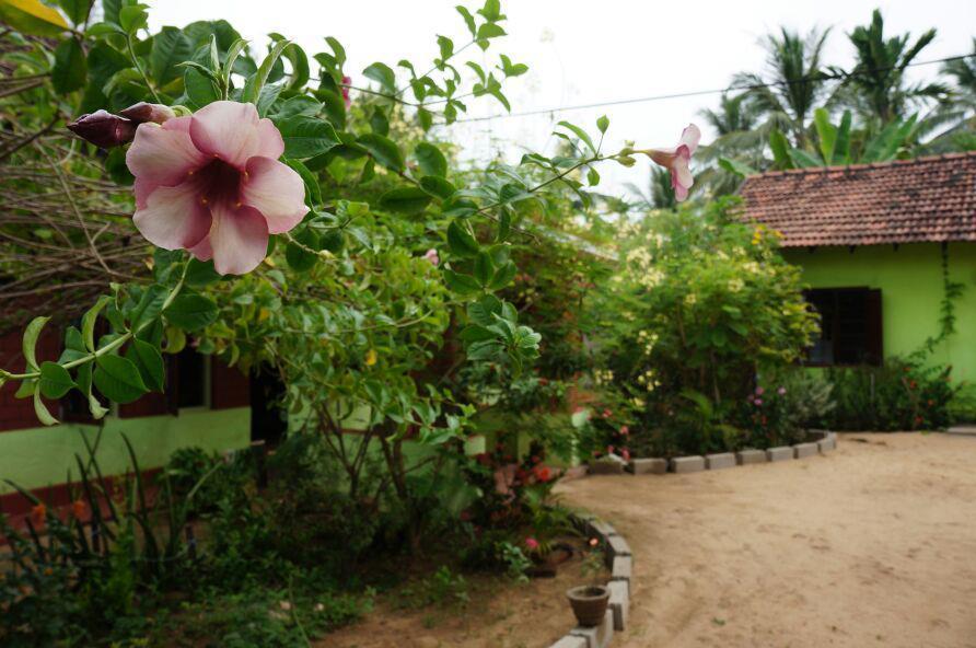 Surf & Yoga Arugam Bay Hotel Exterior photo
